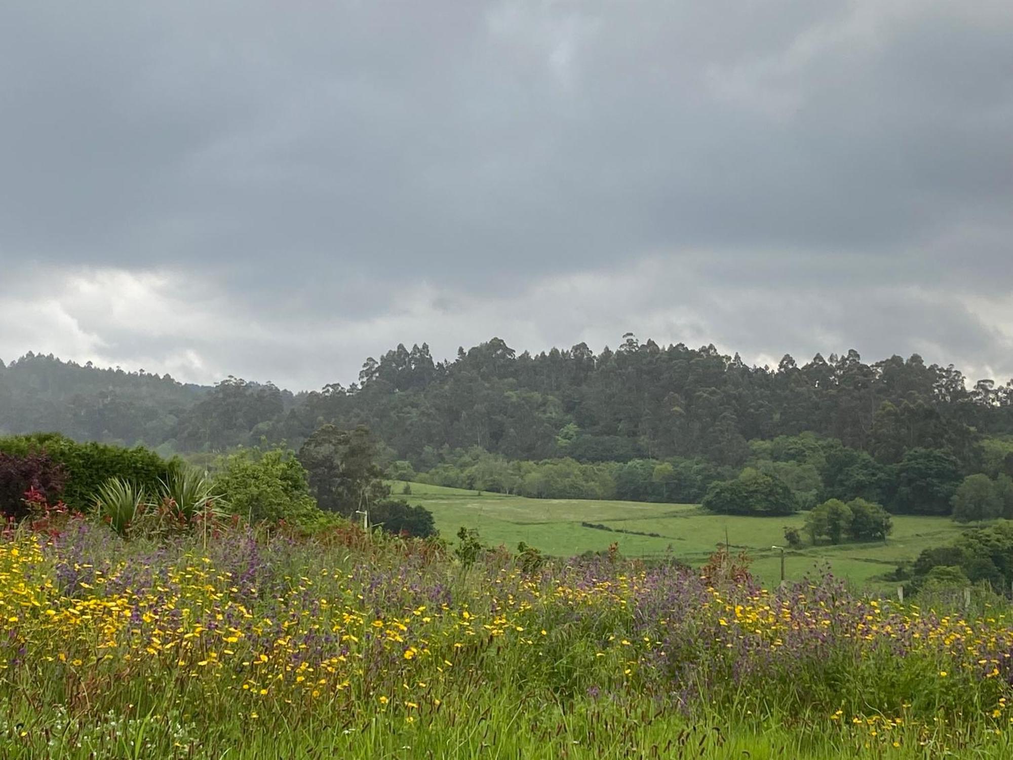 Casa Vanguardista En El Campo Cerca De Santiago Pontevedra Exterior foto